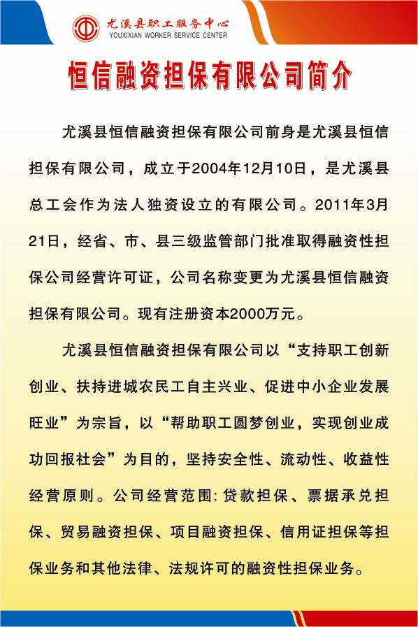 恒信融资担保有限公司简介80-120.jpg